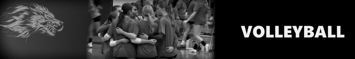 Volleyball